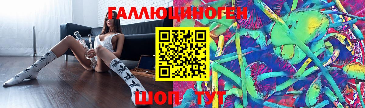 Галлюциногенные грибы Psilocybine cubensis Батайск